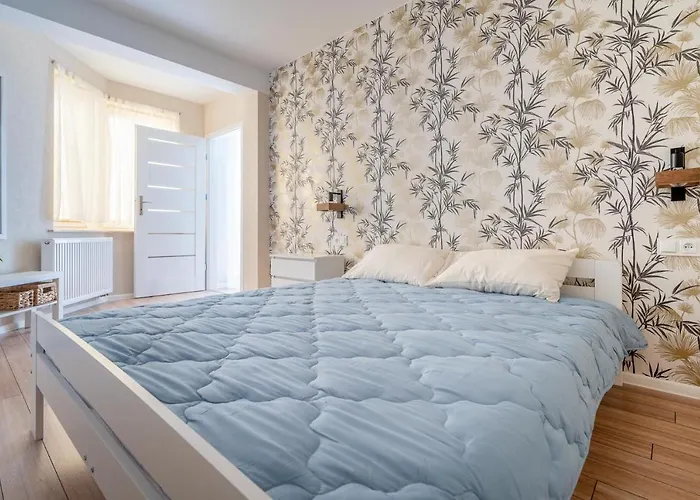 Apartament Alga2